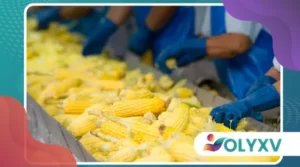 Work in Food Industries and Production Kitchens: Fast Hiring and Above-Average Pay in the U.S.