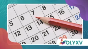 Como organizar um cronograma para lançamentos sazonais